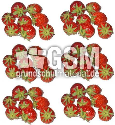 Erdbeeren-6x8.jpg